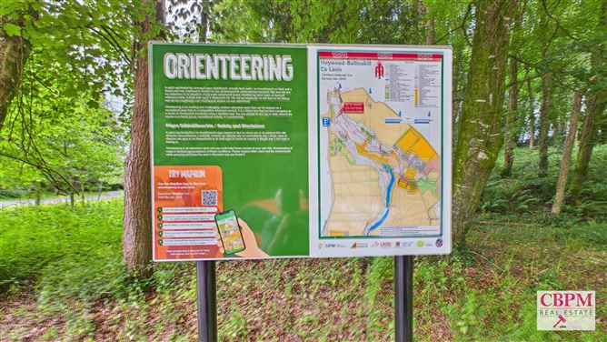 Photo 26 of 41 — Gill's Pond, Ballinakill, Laois