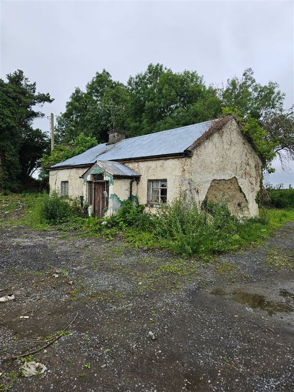 Aghameelick, Clonbullogue, Offaly