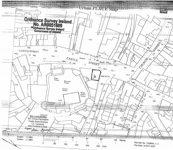 Castle House, Castle Street, Roscrea, Co. Tipperary