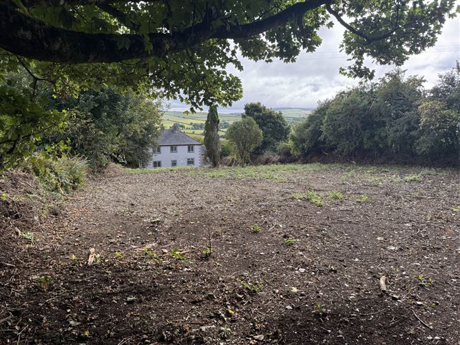 Buckstown, Gorey, County Wexford