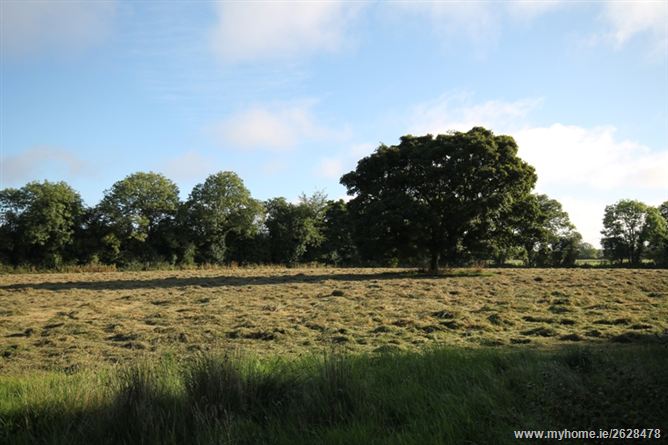 Beechlawn House on c. 20 Acres, Cloncreen, Clonbullogue, Offaly