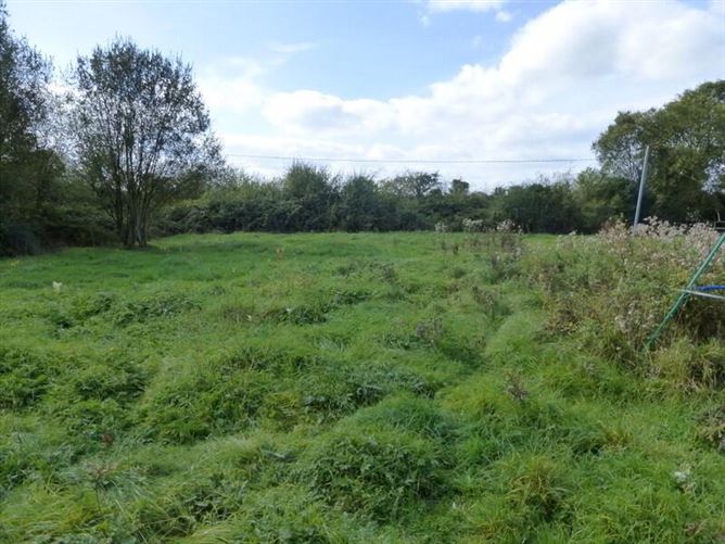 Ballydonnell, Mullinahone, Tipperary, Tipperary