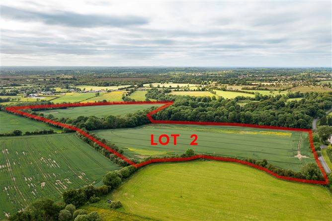 Drummin House, Lot 2, Approx. 44 Acres, Carbury, County Kildare