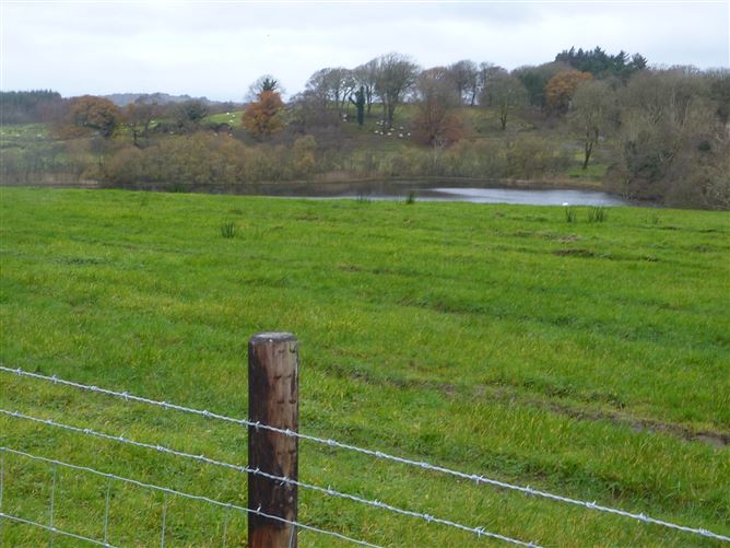 Moate, Killawalla, Westport, Co. Mayo