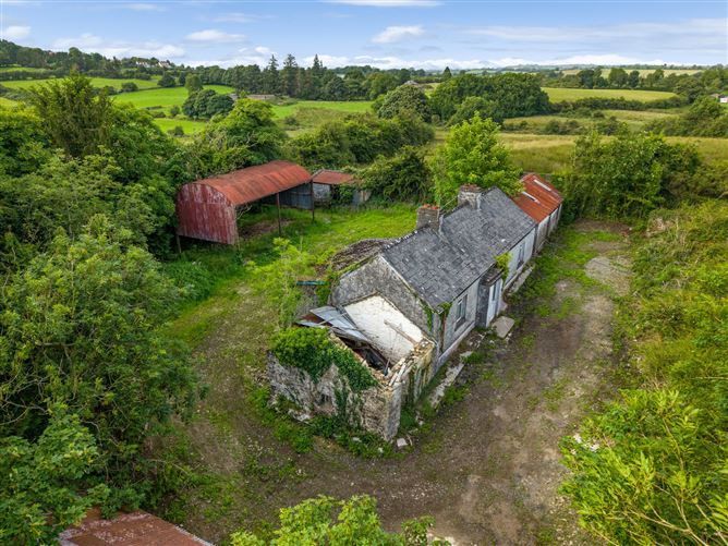C. 31.6 Acre Residential Farm, Virginia, Co. Cavan