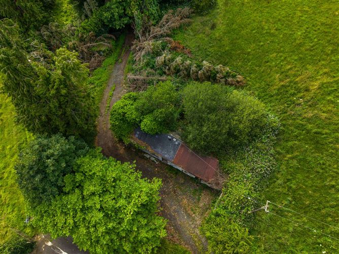 C. 31.6 Acre Residential Farm, Virginia, Co. Cavan