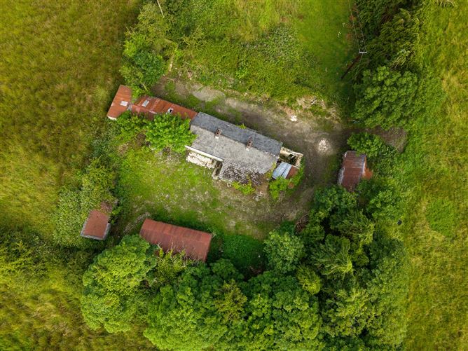 C. 31.6 Acre Residential Farm, Virginia, Co. Cavan
