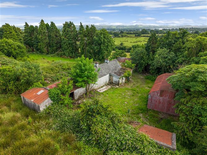 C. 31.6 Acre Residential Farm, Virginia, Co. Cavan