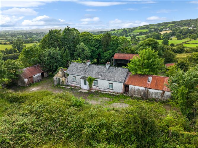 C. 31.6 Acre Residential Farm, Virginia, Co. Cavan
