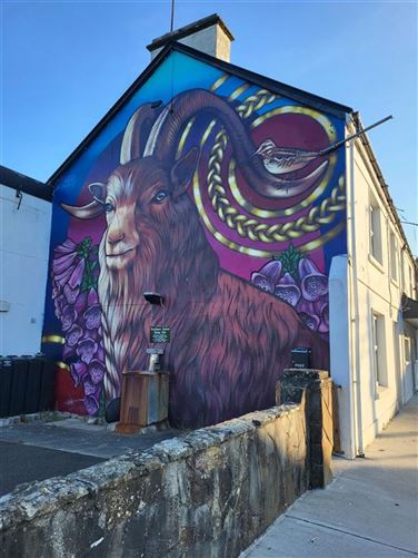 Photo 47 of 54 — Currinara, Foxford, Mayo, Co. Mayo