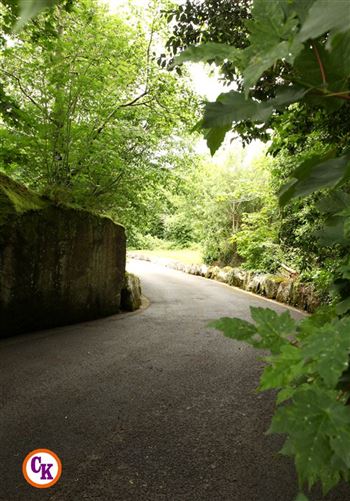 Currinara, Foxford, Mayo, Co. Mayo