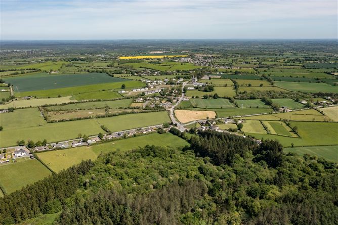 Ballintine, Allen, Co. Kildare