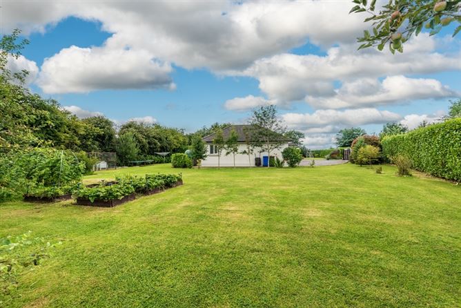 Newtown Eadestown Naas Co. Kildare , KENAAS