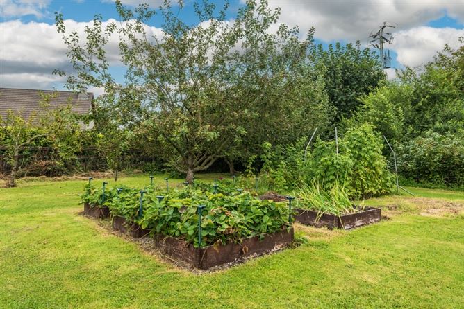 Newtown Eadestown Naas Co. Kildare , KENAAS