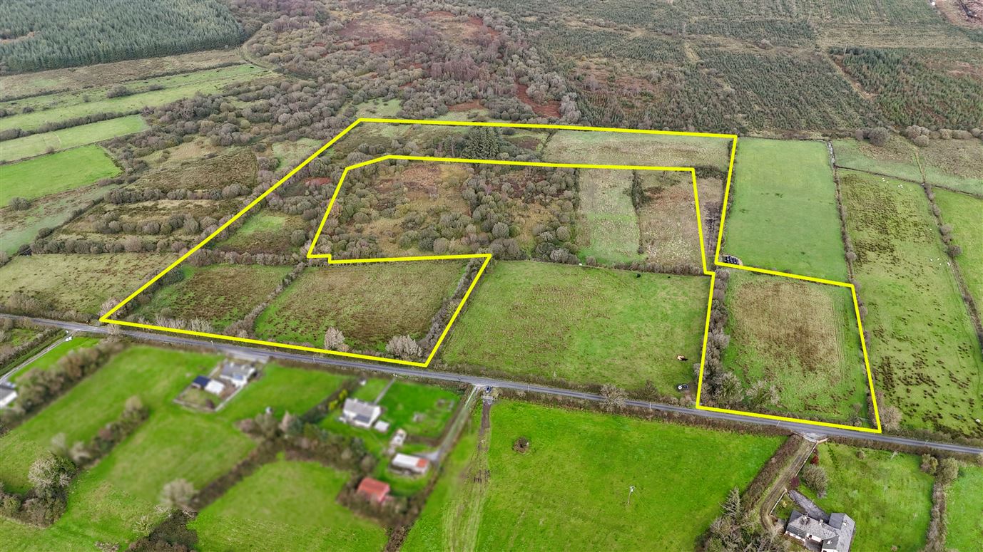 10.35 acres at Lisavruggy, Ballygar, Co. Galway