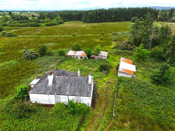 Old Castlebar Road, Swinford, Co. Mayo