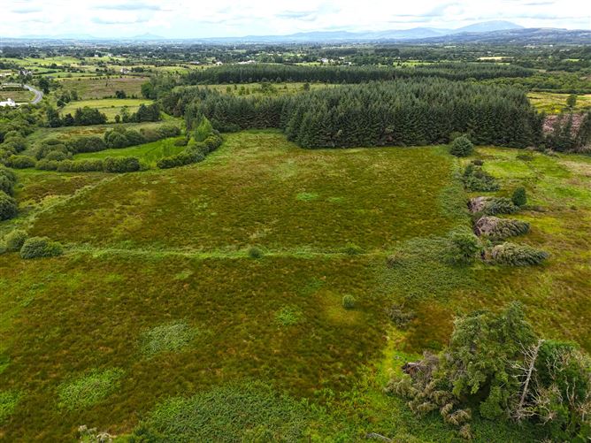 Old Castlebar Road, Swinford, Co. Mayo