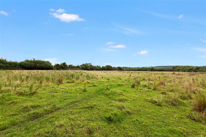 2.114 Acres, Shanragh Bridge Farm House, Ballylehane Lower, Ballylynan, Co. Laois