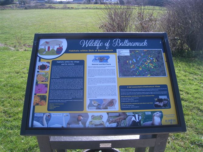 Kiltycreevagh, Ballinamuck, Longford