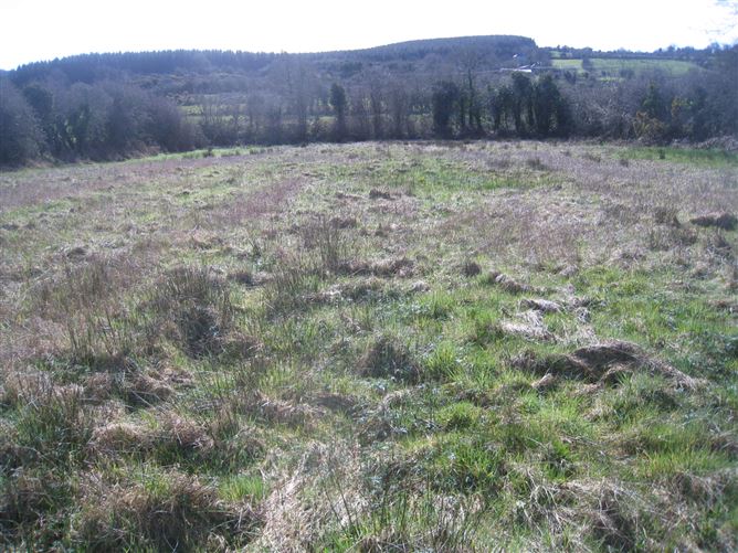Kiltycreevagh, Ballinamuck, Longford