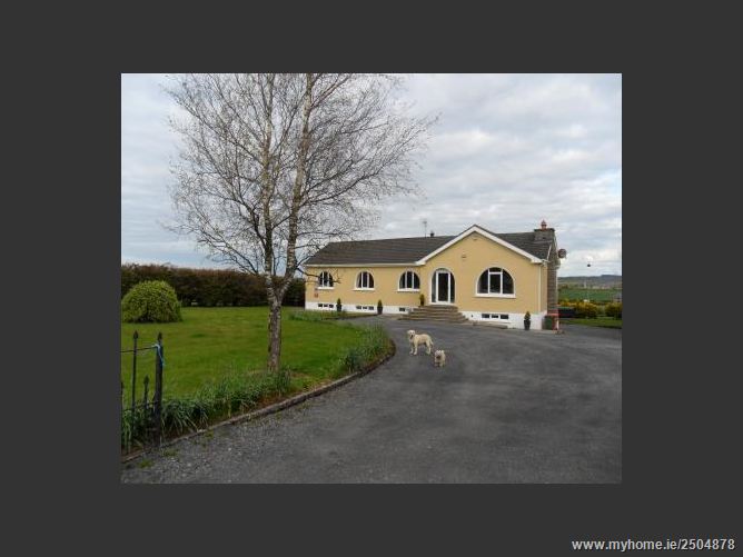 Blackthorn,Derrymore Upper,Roscrea, Co. Tipperary REA Seamus Browne