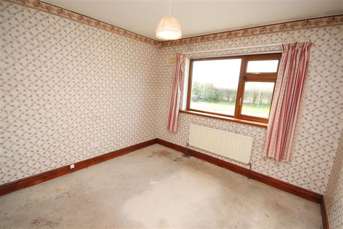 Timolin Road, Kilcullen, Kildare