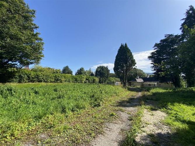 Ailsa Craig, Western Road, Clonmel, Tipperary