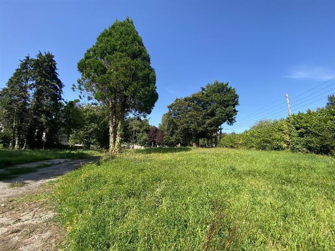 Ailsa Craig, Western Road, Clonmel, Tipperary
