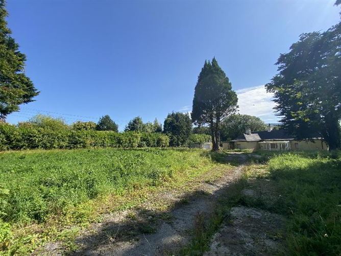 Ailsa Craig, Western Road, Clonmel, Tipperary