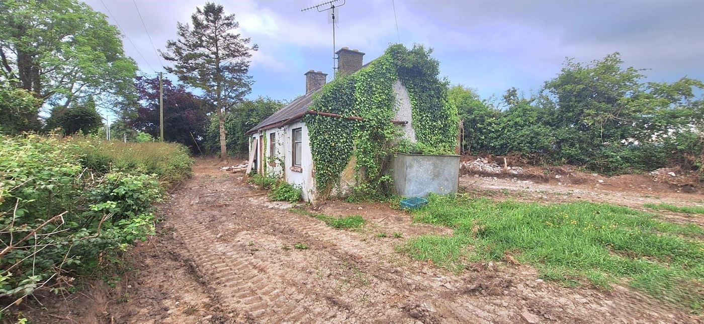 Ballyadams, Co. Laois