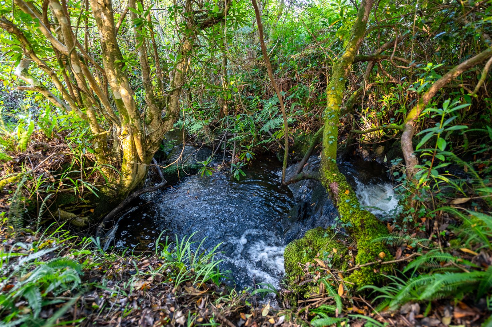 Oisin House, Doon, Tahilla, Co. Kerry, V93AP58 Oisin House, Doon, Tahilla, Co. Kerry, V93AP58