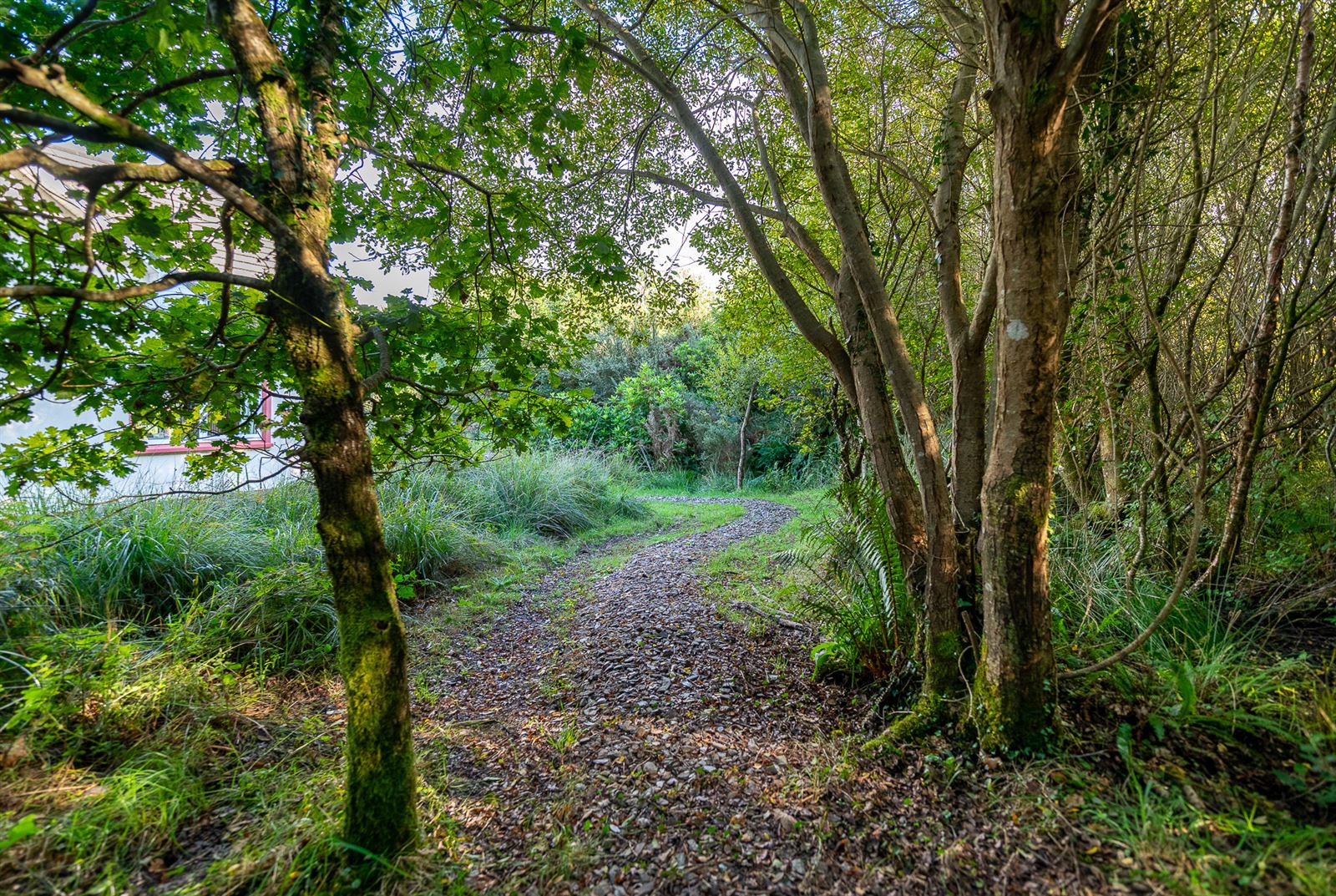 Oisin House, Doon, Tahilla, Co. Kerry, V93AP58 Oisin House, Doon, Tahilla, Co. Kerry, V93AP58