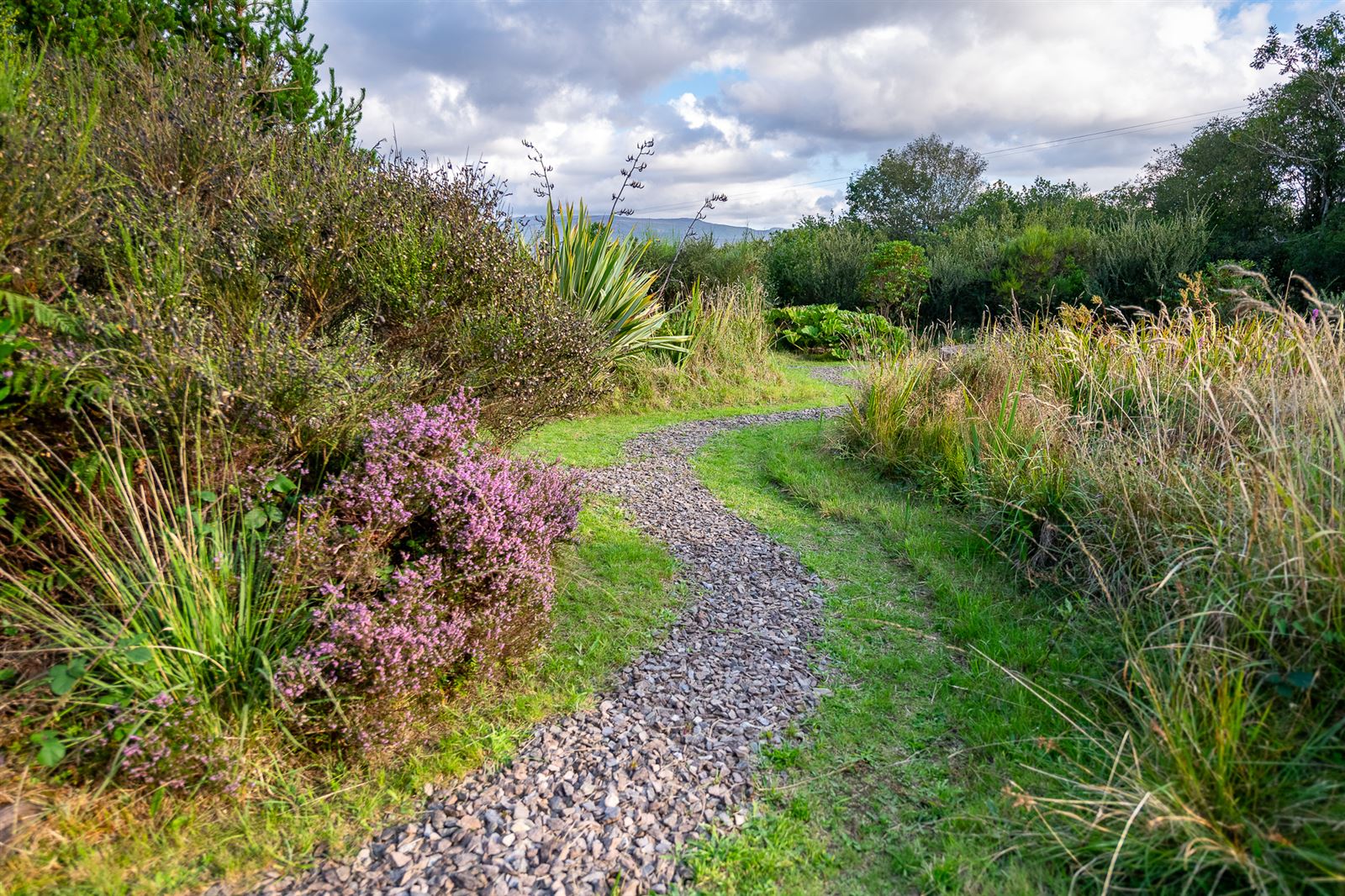 Oisin House, Doon, Tahilla, Co. Kerry, V93AP58 Oisin House, Doon, Tahilla, Co. Kerry, V93AP58
