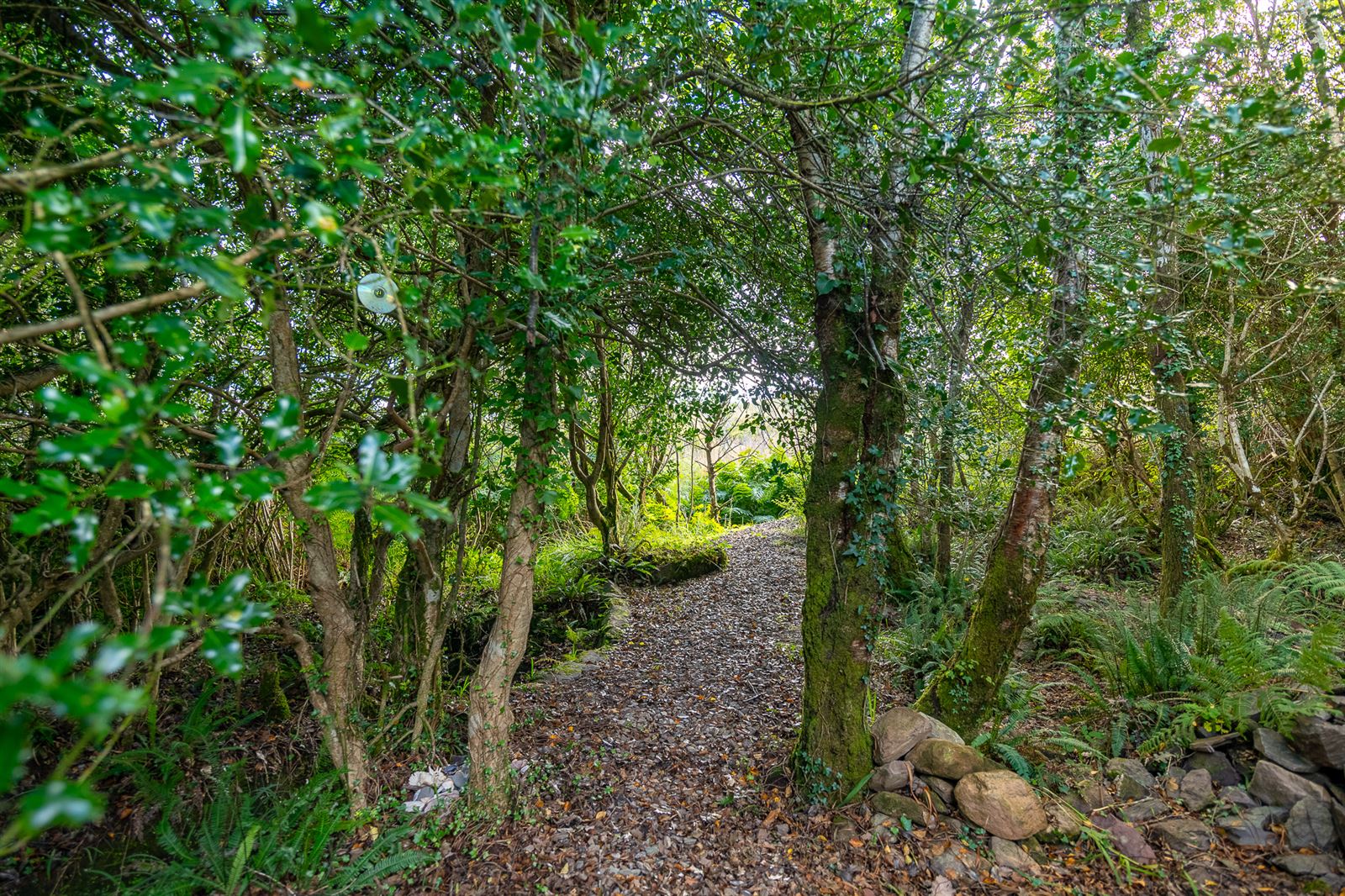 Oisin House, Doon, Tahilla, Co. Kerry, V93AP58 Oisin House, Doon, Tahilla, Co. Kerry, V93AP58