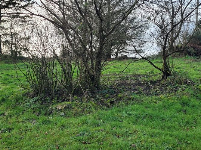 Carrickgorman, Bailieborough, Co. Cavan