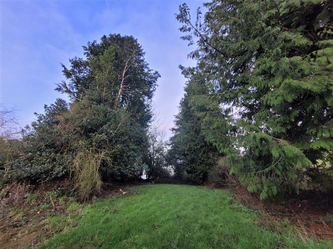 Carrickgorman, Bailieborough, Co. Cavan