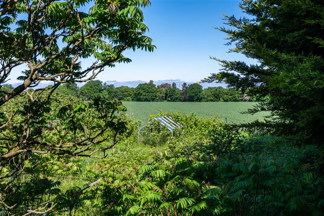 Ballydownan, Geashill, Co. Offaly