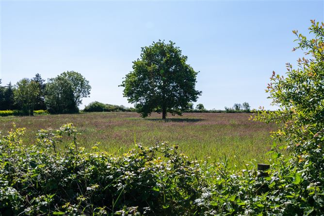 Ballydownan, Geashill, Co. Offaly