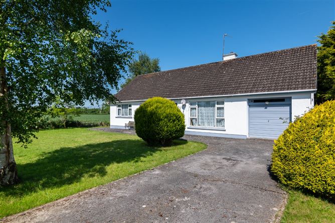 Ballydownan, Geashill, Co. Offaly