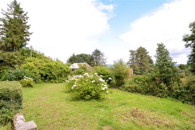 Curraghduff Farm, Glann, Oughterard, Galway