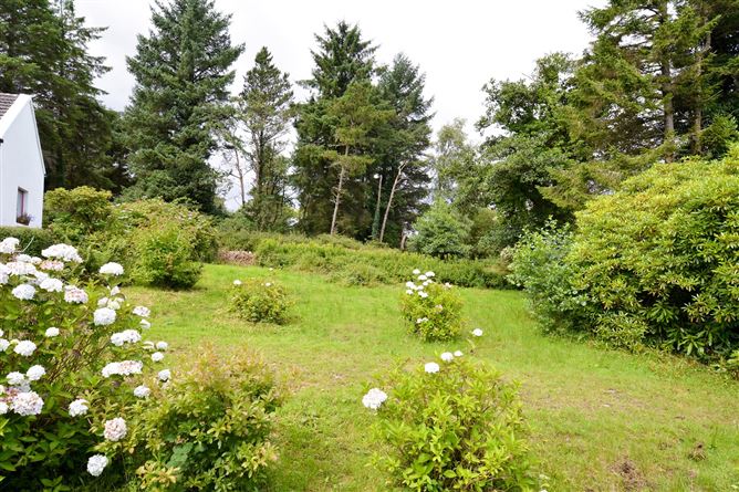 Curraghduff Farm, Glann, Oughterard, Galway
