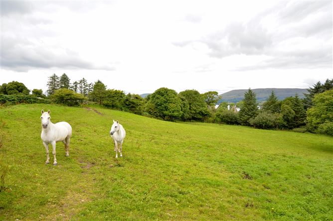 Curraghduff Farm, Glann, Oughterard, Galway