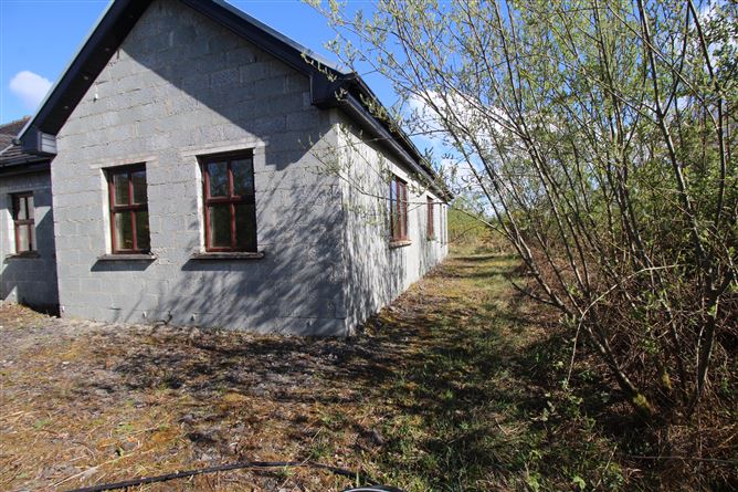 Treel, Newtownforbes, Longford