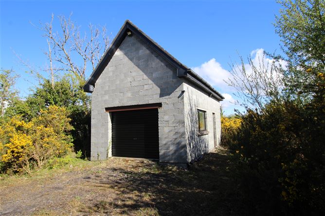 Treel, Newtownforbes, Longford