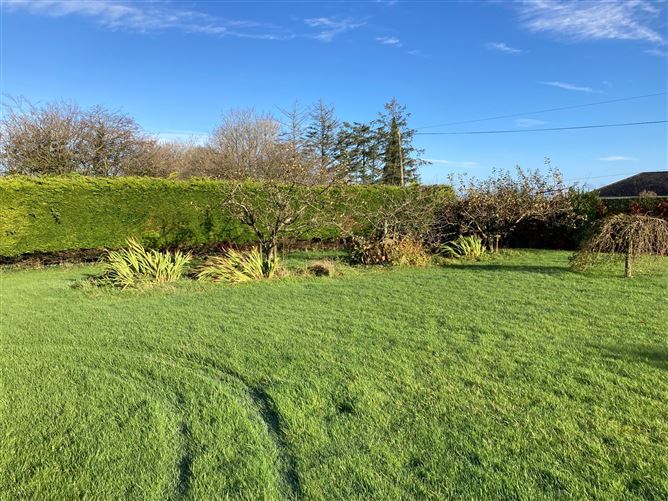Tonlegee, Roscommon, Roscommon