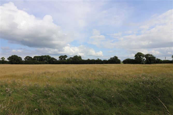 Birchgrove, Ballinasloe, Galway