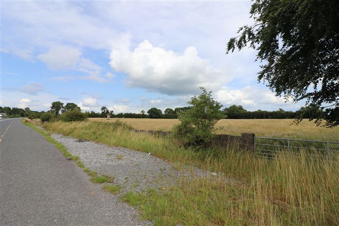Birchgrove, Ballinasloe, Galway