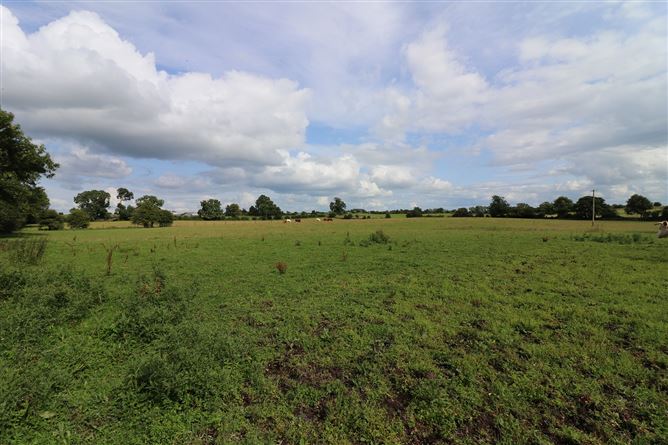 Birchgrove, Ballinasloe, Galway