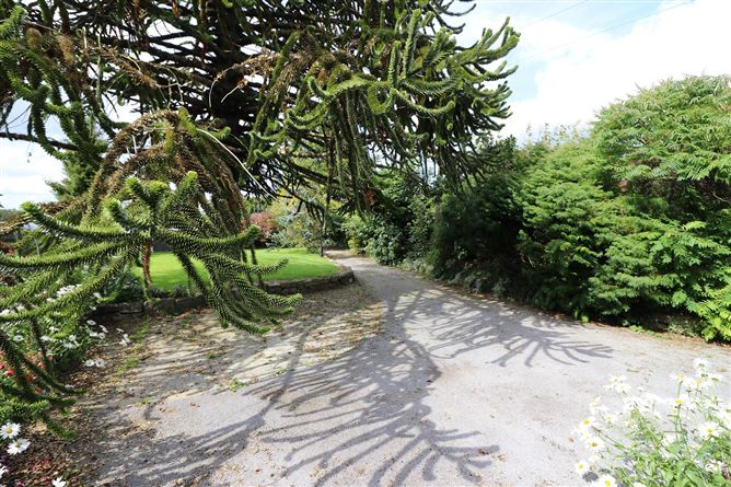 Birchgrove, Ballinasloe, Galway