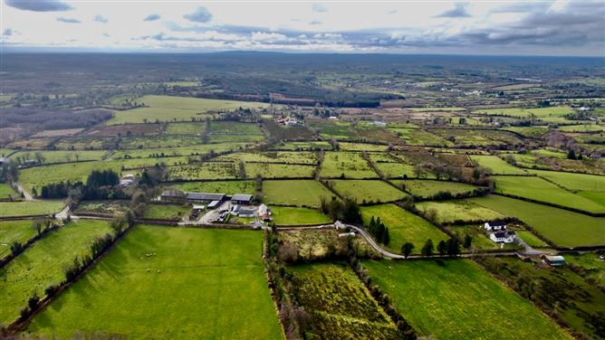 Cronakelly Moyne, Ballinamuck, Longford